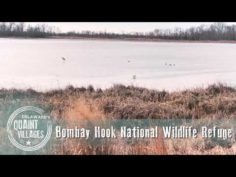 Bombay Hook National Wildlife Refuge in Delaware's Quaint Villages