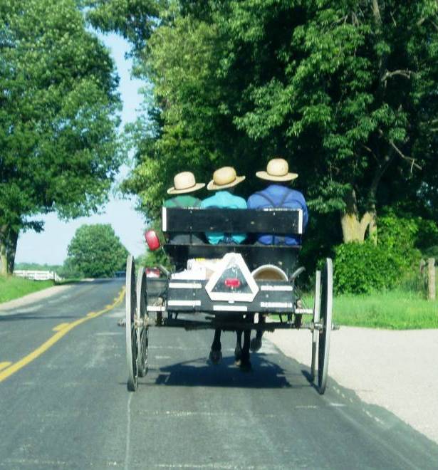 Delaware's Amish Community